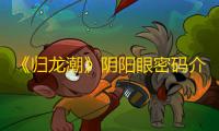 《归龙潮》阴阳眼密码介绍一览